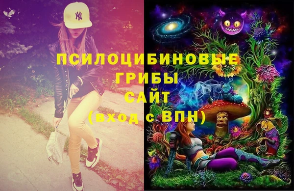 молекула духа Заводоуковск